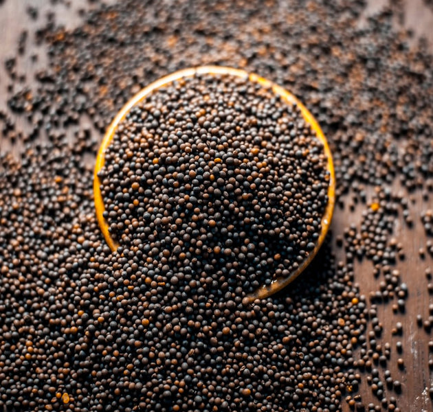 Black mustard